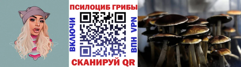 Псилоцибиновые грибы GOLDEN TEACHER  Лабинск 